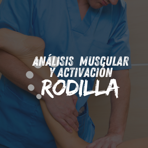 Análisis Muscular y Activación de la Rodilla